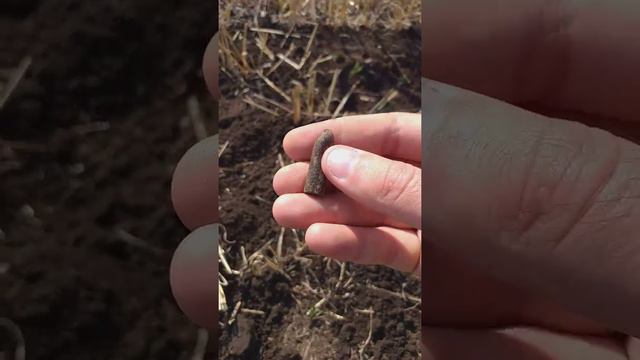 Тупоконечная пуля обр. 1891 к винтовке Мосина (7.62*54R) смотреть онлайн