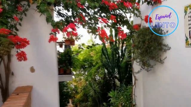 Mi pueblo natal / ESPAÑOL LENTO / Alberto Benítez смотреть онлайн