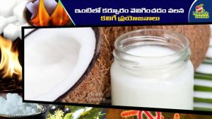 Best Health Benefits of Camphor (కర్పూరం) | Health Tips In Telugu | Health Treasure