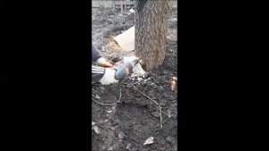 Спилить дерево перфоратором