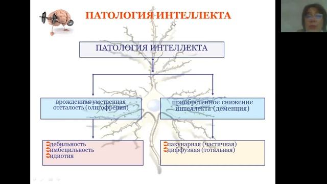 Умственная отсталость  Олигофрения