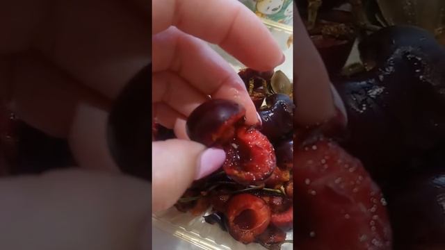 Черешня / черви / еда / черешнясчервями
