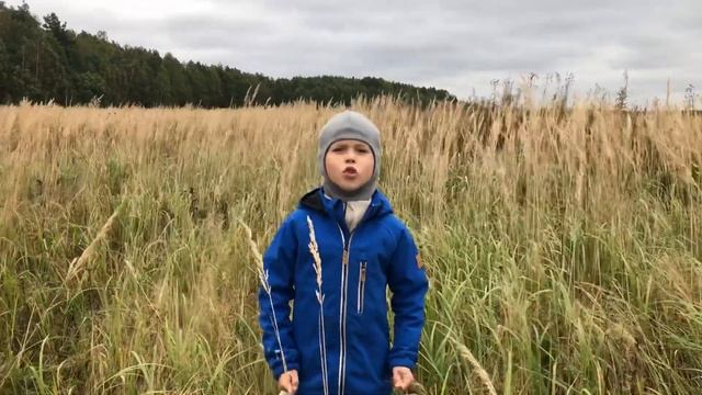 Н.Некрасов «Несжатая полоса», читает Родион Е. смотреть онлайн