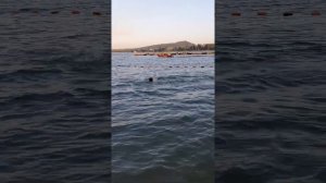 первый  влог заплыл за буйки получилось или нет