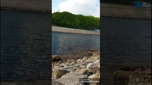 Рыбалка в Амурской области .Река Бурея. Талакан.