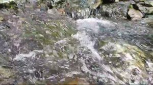 VID-20240721-WA0004