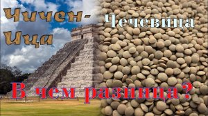 Чечевица тушеная с луком и морковью.