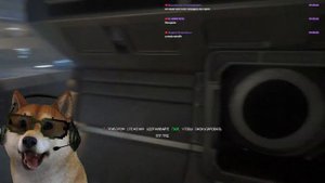 ЧУЖОЙ ИЗОЛЯЦИЯ 3 СТРИМ | ПЕС СТРИМЕР