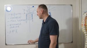 Сколиоз у детей, у подростков, у взрослых. Как лечить искривление позвоночника