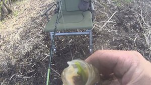 Ловля линя на фидер Открытие фидерного сезона 2021. Ловля на фидер весной 2021