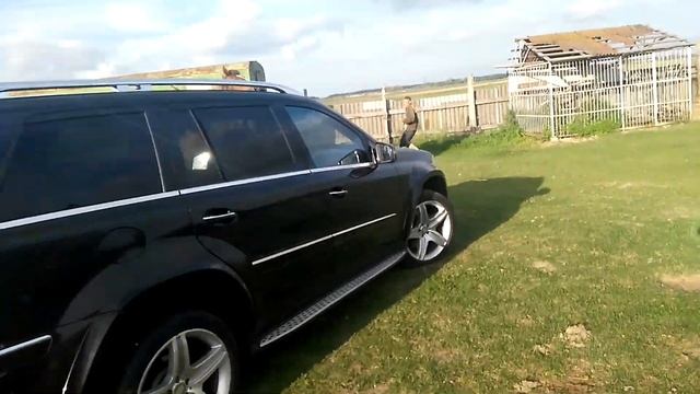 Элитные лошади смотреть онлайн