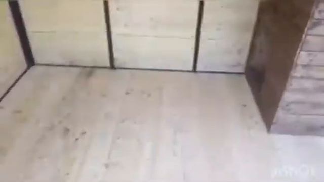 Вольер для собаки от компании Малинка смотреть онлайн