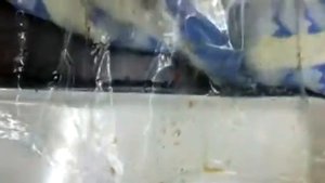 Куски мяса после #AEF и шоковой заморозки.