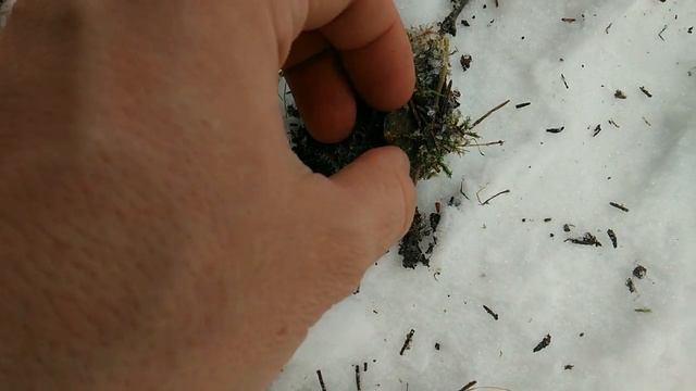 Зимний коп с Garrett ACE №3 смотреть онлайн