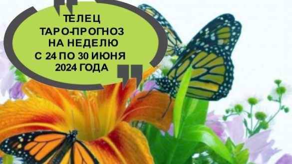 ТЕЛЕЦ ТАРО-ПРОГНОЗ НА НЕДЕЛЮ С 24 ПО 30 ИЮНЯ 2024 ГОДА