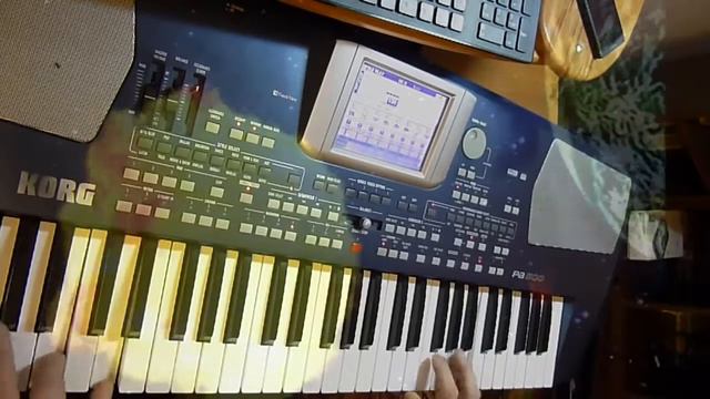 Balloon Korg Pa 500 смотреть онлайн