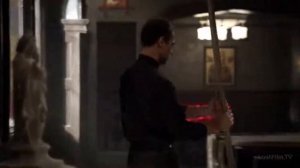 Ядовитое дерево