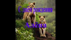С днём рождения Алёна
