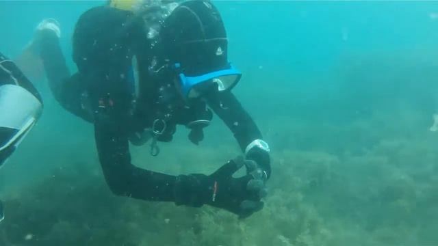 ? курс дайвинг для детей смотреть онлайн