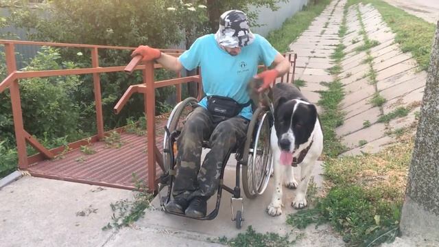 MELEGUSH бордюры пандус и ступени смотреть онлайн