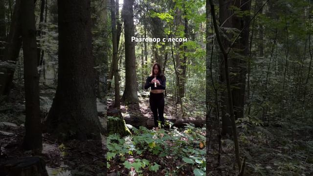 Разговор с лесом с помощью иранской флейты #жизньвдеревне #деревенскаяжизнь #беларусь #деревня смотреть онлайн