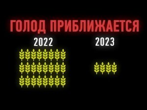 Мир ожидает голод? Россия и Украина единственные, кто могут сейчас накормить человечество?