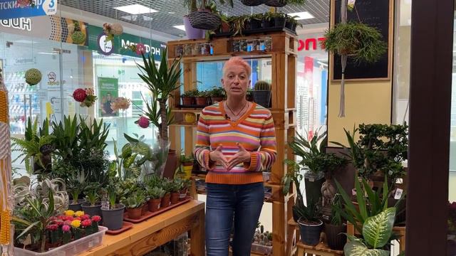 Приглашаю в федеральную партнерскую сеть цветочных магазинов "Закоренелый цветочник"