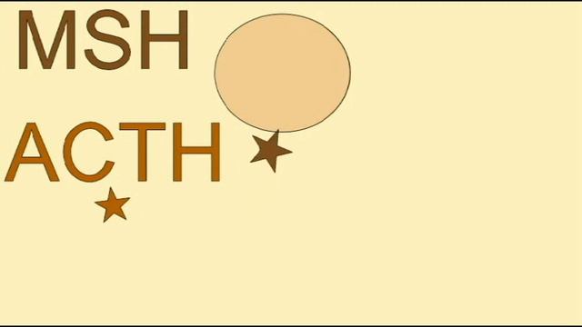 GENETICS OF HAIR, SKIN, IRIS COLOR: MCR GENES смотреть онлайн