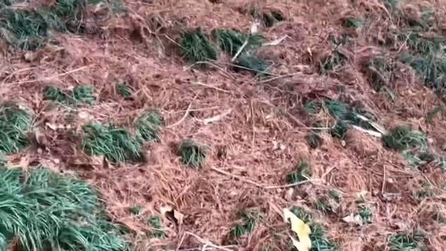 Сочи 2020, коротко о научной экспедиции смотреть онлайн