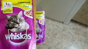 Выбираем влажный корм для кошек от 10 до 20 рублей сравниваем доступные консервы
