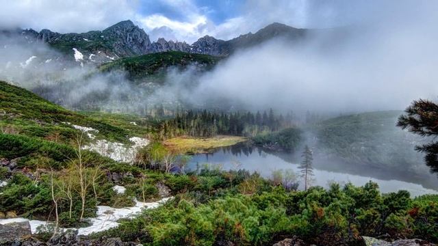 С Днем Заповедников и Национальных парков, поздравительная открытка, видео поздравление, 11 Января