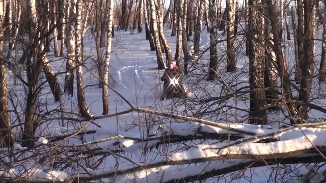 снегоход смотреть онлайн