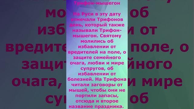 Трифон- мышегон! Трифонов день!
