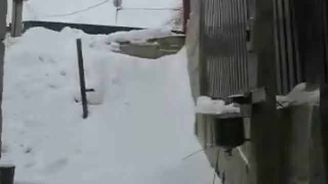 Дом (цоколь) Обухов-центр 1 смотреть онлайн