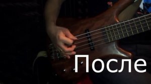 Как быстро оживить струны на басу (бас-гитаре)