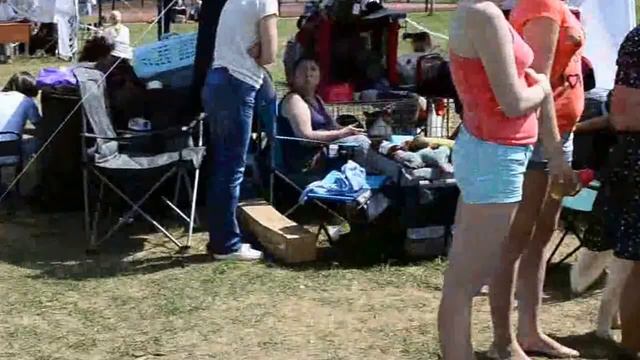 Всероссийская выставка собак в Йошкар-Оле (30.05.2015) смотреть онлайн