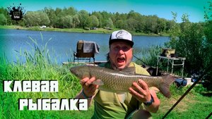 Приехал Ловить Карпа, а поймал Амура! Ночная рыбалка на платном водоеме 9 Карпов )) Рыба, рыба, рыба