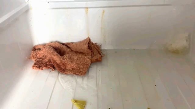 Течет Холодильник, как Исправить за 2 минуты смотреть онлайн