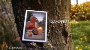 Эко-отель на Волге. Ново-Окатово. Отдых на природе уровень "люкс"