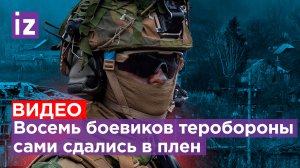 Новые пленные ВСУ: восемь боевиков из теробороны вышли с белым флагом к бойцам РФ / Известия