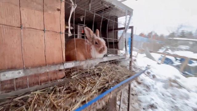 Что делать? Нужен ваш совет.