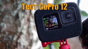 До Волковского ручья 13.07.24