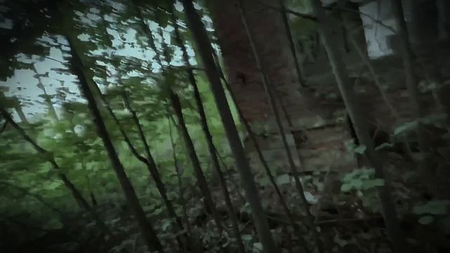 Заброшенный пионерский лагерь «Орленок" смотреть онлайн