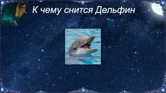 К чему снится Дельфин (Сонник) смотреть онлайн