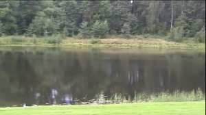 В городе Выру на улице Суворова! (19 августа 2012 года) MPEG 4 HD 1080p