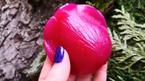 Молд #109-лепесток розы Forever Young