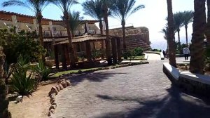 Sentido Reef Oasis Senses Resort 5*