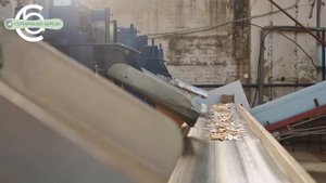 Вырубной штамповочный станок | Оборудование для производства одноразовой посуды из шпона