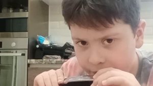 играю на гармошке первый урок