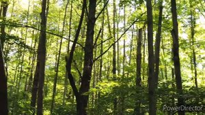 КЕМ ВЫ БЫЛИ В ПРОШЛОЙ ЖИЗНИ, СОГЛАСНО ЗНАКУ ЗОДИАКА.